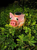 Teaeeno Pig Solar Light Lantern Garden Decor,Metal Animal Decor Outdoor,Garden Yard Lawn Backyard Ornament Decor,Home, Lawn, Patio, Resin Animal Ornament, Women/Gardening Gifts by GreenHaven Gardens