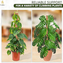EcoNour Moss Pole for Plants – 28 inches (4 Pack) | Monstera Plant Support for Plant Climbing and Growth | Elevate Your Indoor Garden, Plant Support for Indoor Potted Plants to Grow Upwards by GreenHaven Gardens
