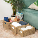 CENBOSS Wicker Baskets (Medium, Seagrass, 1PC) Rattan Storage Baskets for Shelves, Woven Seagrass Holder by CozyNest Decor