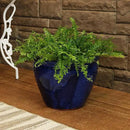 Sunnydaze Chalet Large Ceramic Plant Pot - Round Outdoor Glazed Ceramic Planter Pot with Drainage - Imperial Blue - 14.5" by CozyNest Decor
