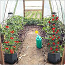 MQFORU Raised Garden Bed, 57" Tomato Planter with Trellis, Tomato Cages for Climbing Vegetables Plant, Self Watering Tomato Support Box for Garden Pots, Use for Patios Greenhouse Indoor Outdoor（1Pc） by GreenHaven Gardens