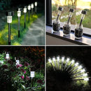 GIGALUMI Solar Pathway Lights 12 Pack, Stainless Steel IP44 Waterproof Auto On/Off Outdoor LED Pathway Landscape Solar Lights for Garden, Yard, Patio, Path and Walkway. (Cold White) by GreenHaven Gardens