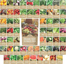 Organic Seeds Ultimate Variety Pack - 60 Individual Packs - 2025 Season - Geonvese Basil, Nantes Carrot, Roquette Arugula and More! for Indoor & Outdoor Planting (Non-GMO, Certified Organic) by GreenHaven Gardens