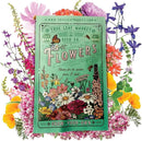 Pollinator Wildflower Seeds Bulk – 5 lb, 3.2 Million+ Seeds – 23 Variety Mix for Hummingbirds & Butterflies – Non-GMO Annual & Perennial Flower Seed for Planting by GreenHaven Gardens