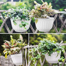 5 Pack Resin Wall Hanging Planter Pots Vertical Garden Living Wall Mount Window Hang Box Container Indoor Outdoor for Plants Flowers Kitchen Herbs Holder with Drainage Water Reservoir Decor White by GreenHaven Gardens