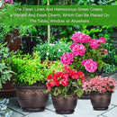 Plastic-Plant-Flower-Planters-12 Inch with Drainage Hole & Saucer, 3 Packs Lightweight Small Resin Flower Pot Indoor Outdoor, Retro Antique Imitation Decorative Garden Containers Sets for Houseplants by CozyNest Decor