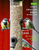 Bird Feeder Premium Hard Plastic for Wild Bird Feeders for Outdoors, Tube Bird Feeders for Outdoors Hanging,14 Inch 6 Port Black, Pack of 1 by CozyNest Decor
