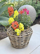 Rattan Kobo Indoor Outdoor Planter Basket with Plastic Pot X Small 1 Gallon Soil Capacity by CozyNest Decor