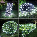 6Ftx4Ft LED Christmas Net Lights Green Wire,Connectable UL Certified Waterptoof Net Lights for Bushes Trees Shurb Garden Outdoor Christmas Decorations by GreenHaven Gardens