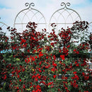 Metal Garden Trellis Rustproof Trellis for Climbing Plants Outdoor Flower Support Butterfly Deco (Cream White-2 Pack, 71"x19.7") by GreenHaven Gardens