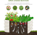 2-Pack 2x1ft Galvanized Raised Garden Bed, Outdoor Planter Bed, Metal Planter Box for Gardening and Planting by GreenHaven Gardens