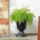 PL10BK Classic Traditional Plastic Urn Planter Indoor/Outdoor, 15" x 13", Black by CozyNest Decor