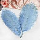 THARAHT Baby Blue Ostrich Feathers 12pcs Large Natural Bulk 14-16Inch 35cm-40cm for Wedding Party Centerpieces Easter Gatsbi and Home Decoration Feathers by CozyNest Decor