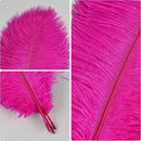 THARAHT Hot Pink Ostrich Feathers 24pcs Natural Bulk 8-10Inch 20cm-25cm for Crafts Wedding Party Centerpieces Easter Gatsbi and Home Decoration Feathers by CozyNest Decor