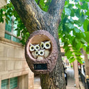 Garden Owl Family Tree Hugger Statue Solar Powered Outdoor Wall Mounted Figurine Light Resin Sculpture Home Decoration Housewarming Ornament Unique Gift by CozyNest Decor