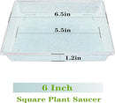 Square Plant Saucer 6 Inch 5 Pack6 8 12 14 16 18 20 Flower Pot No Holes Plant Drip Trays, Plant Trays for Pots Heavy Duty Plastic Plant Saucers for Indoors Outdoors by GreenHaven Gardens