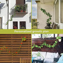Chain Trellis for Climbing Plants - Indoor & Outdoor House Plant Accessories for Monstera, Pothos, Ivy, and More | Garden Wall Trellis and Plant Vine Support - Houseplant Accessories and Plant Gifts by CozyNest Decor