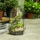 NCYP Geometric Glass Terrarium Planter for Succulent, Small Cacti, Black Irregular Opened Container Pot, Indoor Home Garden Office Tabletop Decor, 6.5" x 5.7" x 9.8" (No Plants, No Door) by CozyNest Decor