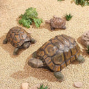 Turtle Statue,Resin Garden Sculpture Indoor/Outdoor Yard Lawn Ornament,Home Decor (Extra Large) by GreenHaven Gardens