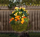 SuperMoss (29202) MossWeave Hanging Basket - Round, Fresh Green, Small (12.5 Diameter)" by GreenHaven Gardens