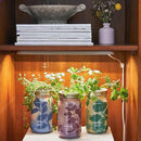 Modern Sprout Mason Garden Jar - Self-Watering Hydroponics Growing System Kit with Organic Herb Seeds - Jar Planter for Indoor Herb Garden - Seed Starter Kit - Home Decor & Gifting - Parsley by GreenHaven Gardens
