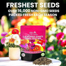 NatureZ Edge Zinnia Seeds for 2025 Planting Outdoors, Over 16,500 Flower Seeds, 1/4 lb, Non GMO Made in USA, Bulk Semillas De Flores para Sembrar, California Giants, Easy to Grow Zinnia Seed Mix by GreenHaven Gardens