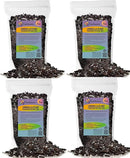 Umbrella Plant Premium Potting Mix - 20 Quart - Nourish Your Plants with Nature's Finest Ingredients (4 Bags of 5 QT) by GreenHaven Gardens