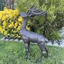 Cast Iron Deer Statue（22" Tall）, Realistic Large Antler Sculpture, Outdoor Garden Decor for Lawn Patio Yard, Indoor Home Art Figure HC5691 by CozyNest Decor