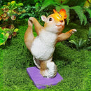 Solar Light Garden Statue Squirrel Figurine, Resin Squirrel Doing Yoga with Lighted Butterfly, Waterproof Spring Outdoor Ornaments for Garden, Front Door, Patio Decor & Gifts for Mother's Day by CozyNest Decor