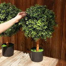 Premium 14" Diameter Artificial Boxwood Topiary – Set of 2 Faux Plants in Black Decorative Planters – UV-Resistant, Weatherproof, Realistic Outdoor & Indoor Greenery Accent by GreenHaven Gardens