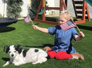 American Flags on Stick - Handheld Spearhead US Flag for 4th of July, Memorial Day Event Decorations - Patriotic Decor for Indoors & Yard - Wooden Stick, Cotton Fabric - (4"X6" - 50 Pack) by GreenHaven Gardens