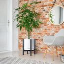 D'vine Dev Ceramic Planter with Ebony Stand - 12 Inch Modern Round Flower Pot with Wood Planter Holder, White, 55-B-H-1 by CozyNest Decor