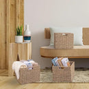 12x12x10in Seagrass Storage Baskets Set of 2, Large Wicker Storage Basket, Decorative Seagrass Shelf Basket, Pantry Baskets Organization,Folding Storage Cube Bins by CozyNest Decor