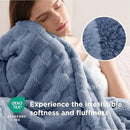 Bedsure GentleSoft Blankets Queen Size for Bed - Super Soft Cozy Blanket for Women Men Girls, Large Fuzzy Fleece Throw for Bedroom Decor, Ashley Blue, 90x90 Inches by CozyNest Decor