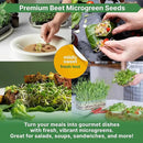 Organo Republic Beet Sprouting & Microgreens Seeds - 20,000 Non GMO Heirloom Seeds, Sprouts in Bulk 1lb Resealable Bag for Planting and Growing in Soil, Coconut Coir, Aeroponic & Hydroponic System by GreenHaven Gardens