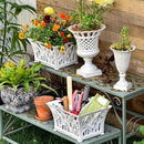 Sungmor Heavy Duty Cast Iron Planter Basket w/Non-Woven Growing Bag, Unique Shape & Beautiful Pattern Design, Hollow Orchid Flower Pot Garden Tools Holder, Rust White French Country Decor Container by CozyNest Decor