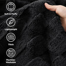 Bedsure GentleSoft Blankets Queen Size for Bed - Super Soft Cozy Blanket for Women Men Girls, Large Fuzzy Fleece Throw for Bedroom Decor, Black, 90x90 Inches by CozyNest Decor
