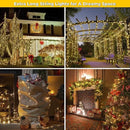 weillsnow 164Ft 500 LED Christmas Lights, Waterproof 8 Twinkle with Memory Functions Christmas Tree Lights for Indoor Outdoor Christmas Tree Garden Decoration (Warm White) by GreenHaven Gardens