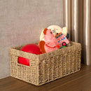 CENBOSS Wicker Baskets (Medium, Seagrass, 1PC) Rattan Storage Baskets for Shelves, Woven Seagrass Holder by CozyNest Decor