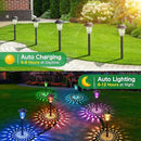 Solar Pathway Lights, 8 Pack Bright Color Changing/Warm White Solar Lights Outdoor Waterproof Solar Garden Lights, Outdoor Lights Solar Powered Landscape Path Lights for Yard, Walkway, Lawn by GreenHaven Gardens