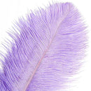 THARAHT Lavender Ostrich Feathers 12pcs Large Natural Bulk 12-14Inch 30cm-35cm for Wedding Party Centerpieces Easter Gatsbi and Decoration Feather by CozyNest Decor