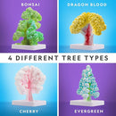 National Geographic Craft Kits for Kids - Crystal Growing Kit, Grow 6 Crystal Trees in Just 6 Hours, Educational Craft Kit with Art Supplies, Geode Specimen, STEM Arts & Crafts Kit (Amazon Exclusive) by TinyTreasures Baby Boutique
