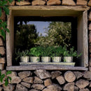 SCANDINORDICA Galvanized Metal Herb Planter, 5 Pots with Drainage Holes, Indoor Outdoor Use, Farmhouse Decor, 19.5x3.9x3.5 inches by GreenHaven Gardens
