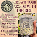 Craft Aroid Potting Mix- Elite Alocasia, Philodendron, Monstera Soil Mix, Chunky, Well Draining Potting Soil for Indoor Plants, All Tropical Plants & Houseplants, Synthetic & Peat Free 8QT by GreenHaven Gardens