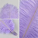THARAHT Lavender Ostrich Feathers 12pcs Natural Bulk 8-10Inch 20cm-25cm for Crafts Wedding Party Centerpieces Flower Arrangement Easter Gatsbi and Home Decoration Feather by CozyNest Decor