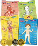 BEST LEARNING i-Poster My Body - Interactive Educational Human Anatomy Talking Game Toy | Learn Body Parts, Organs, Muscles and Bones for Kids Aged 5 to 12 Years Old by TinyTreasures Baby Boutique