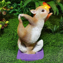Solar Light Garden Statue Squirrel Figurine, Resin Squirrel Doing Yoga with Lighted Butterfly, Waterproof Spring Outdoor Ornaments for Garden, Front Door, Patio Decor & Gifts for Mother's Day by CozyNest Decor