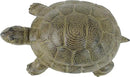 Design Toscano Aesop's Turtle Ornament Garden Tortoise Animal Statue, 10 Inches Wide, Cast Iron, Verdigris Finish by GreenHaven Gardens