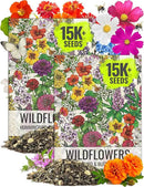 Seed Needs Wildflower Seeds Hummingbird and Butterfly Seed Mix | 2 Packs (1 Ounce Each) No Filler 23 Varieties Garden Seeds Annual & Perennial Species | Pollinator Attracting Flower Seed | Bulk by GreenHaven Gardens