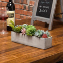 MyGift Faux Succulent Plant Arrangement in 12-Inch Gray Cement Pot by CozyNest Decor